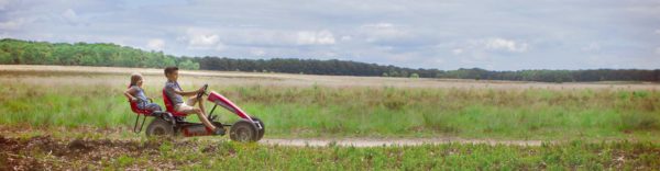 Berg Farm BFR Go Kart - Pat Fogarty Lawnmowers